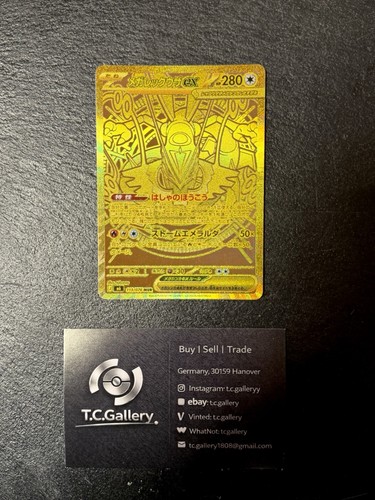 Pokémon mega rayquaza - -,