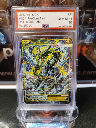 Pokémon mega rayquaza - pokémon,